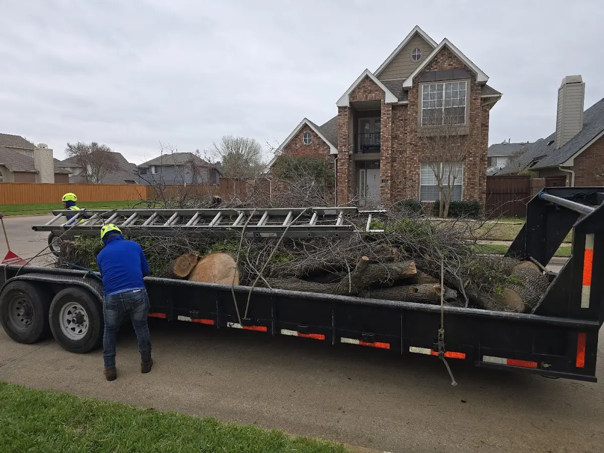 Expert Tree Fertilization with proper safety equipment in Hibbing
